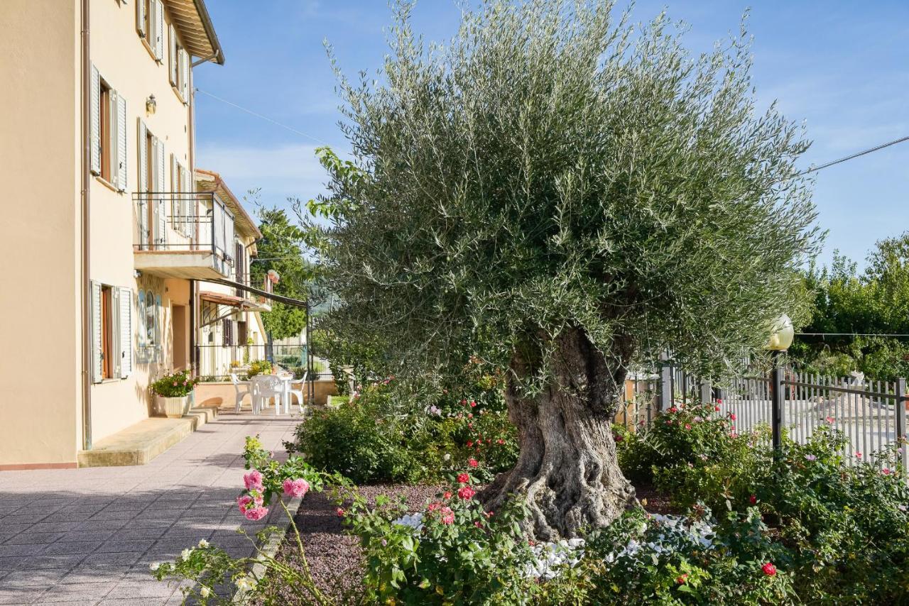 Villa Scarponi อัสซิซี ภายนอก รูปภาพ